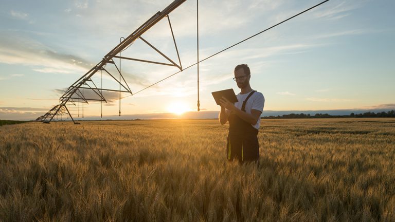 Dossier – L’assurance du risque agricole